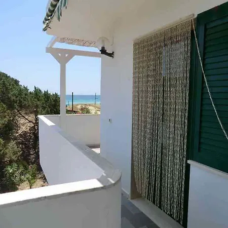 Angel 1 Pt Porto Cesareo
